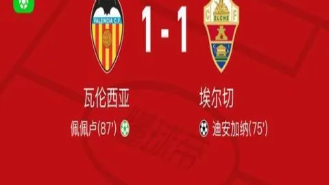 羽毛球：携手共赏这项运动魅力