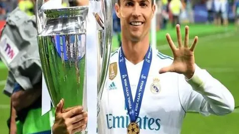 大乐透期号专家质合分析：公牛黄蜂对决前瞻